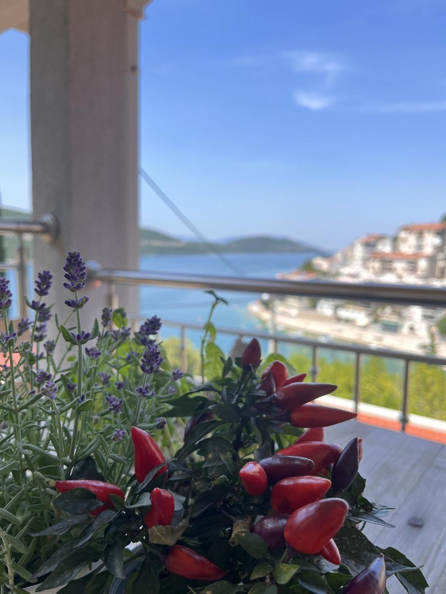 Villa Ljiljana Neum Rom bilde